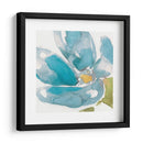 Flor Splash I - Jennifer Goldberger | Cuadro decorativo de Canvas Lab