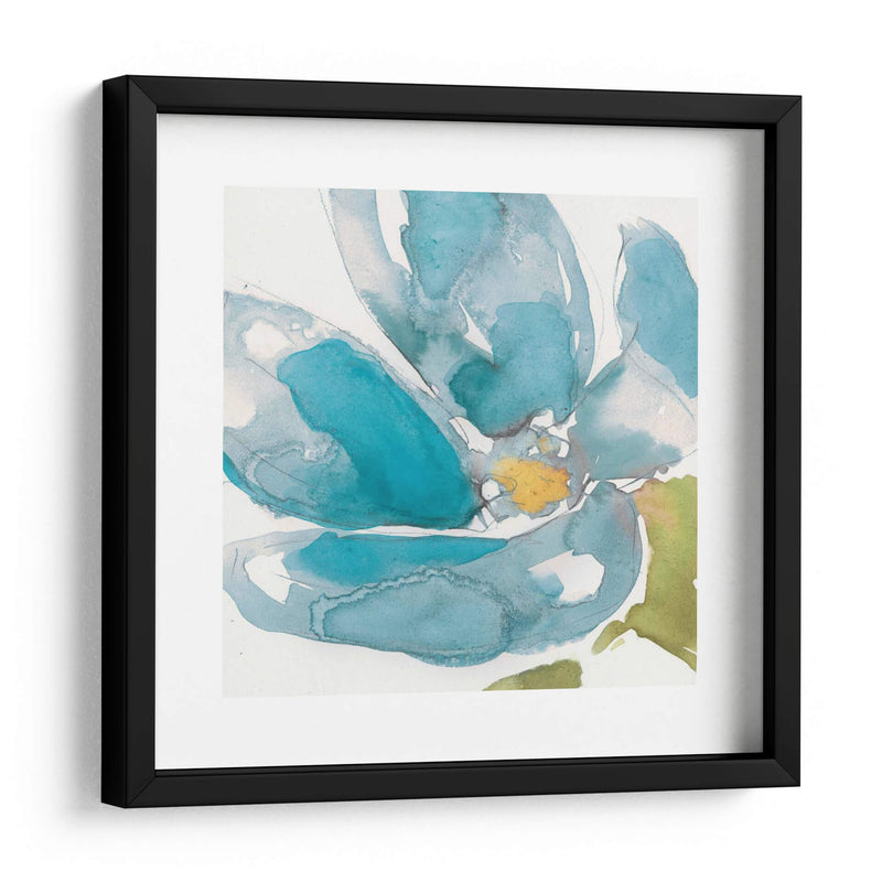 Flor Splash I - Jennifer Goldberger | Cuadro decorativo de Canvas Lab