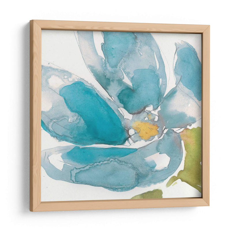 Flor Splash I - Jennifer Goldberger | Cuadro decorativo de Canvas Lab