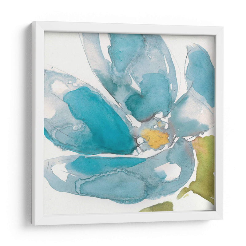 Flor Splash I - Jennifer Goldberger | Cuadro decorativo de Canvas Lab