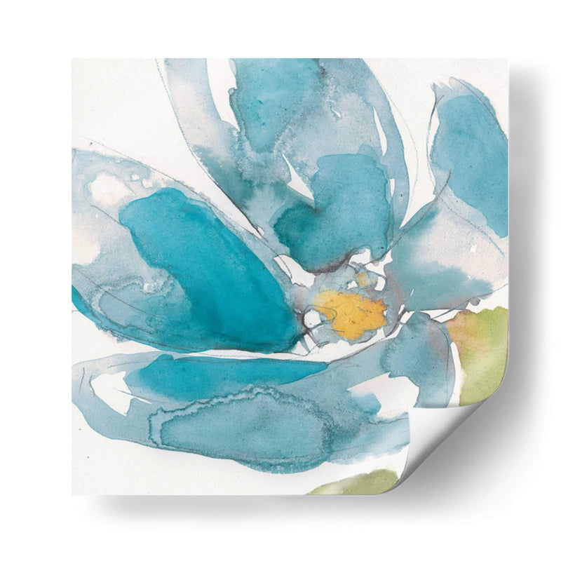 Flor Splash I - Jennifer Goldberger | Cuadro decorativo de Canvas Lab