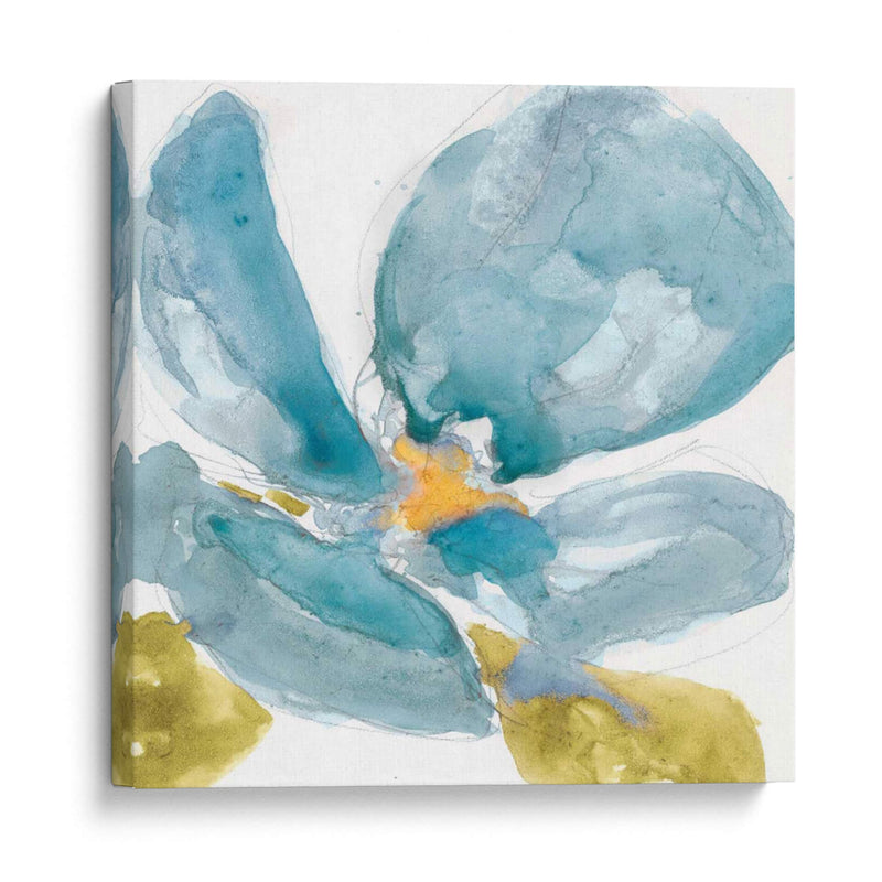 Flor Splash Ii - Jennifer Goldberger | Cuadro decorativo de Canvas Lab