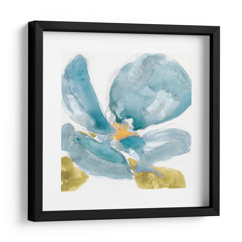 Flor Splash Ii - Jennifer Goldberger | Cuadro decorativo de Canvas Lab