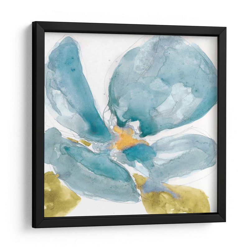 Flor Splash Ii - Jennifer Goldberger | Cuadro decorativo de Canvas Lab