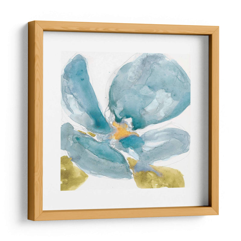 Flor Splash Ii - Jennifer Goldberger | Cuadro decorativo de Canvas Lab