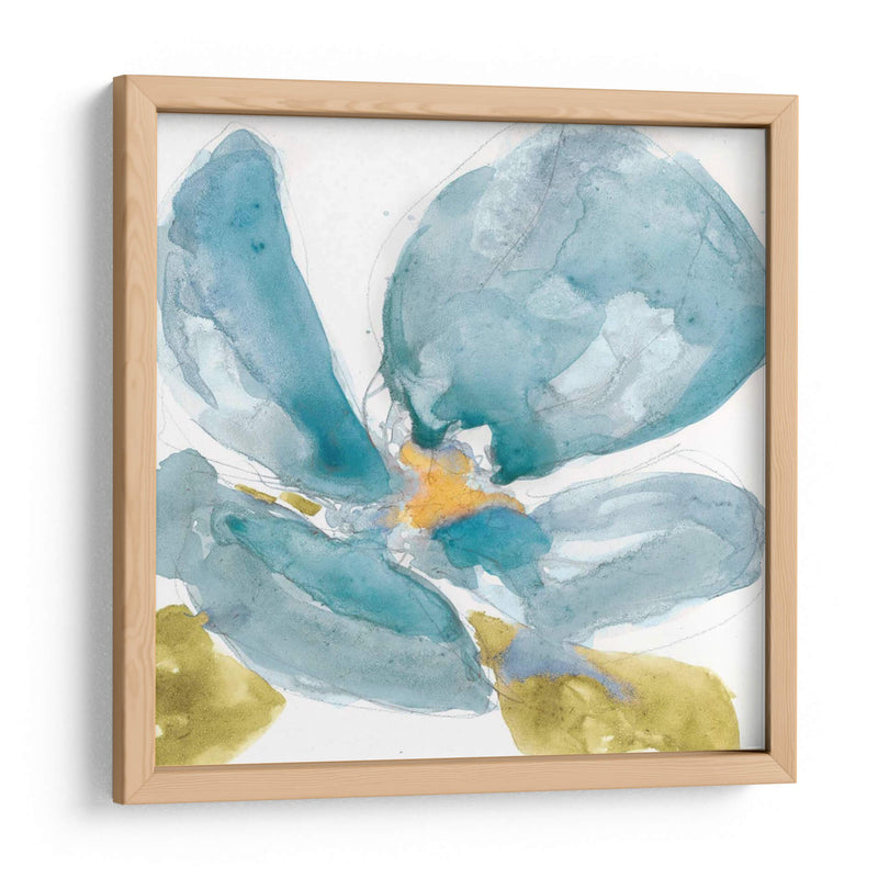 Flor Splash Ii - Jennifer Goldberger | Cuadro decorativo de Canvas Lab