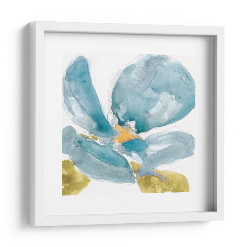 Flor Splash Ii - Jennifer Goldberger | Cuadro decorativo de Canvas Lab