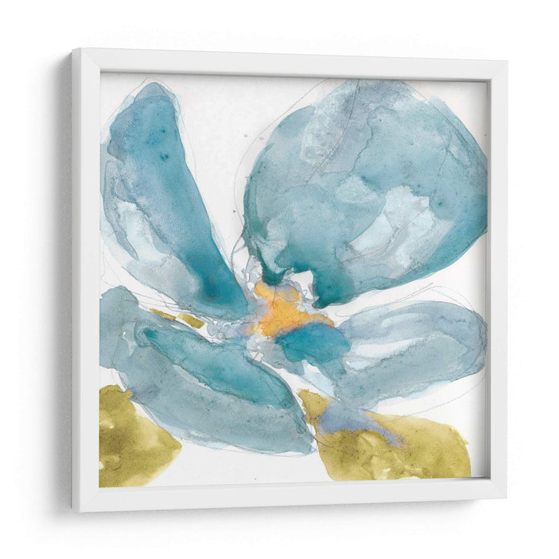 Flor Splash Ii - Jennifer Goldberger | Cuadro decorativo de Canvas Lab