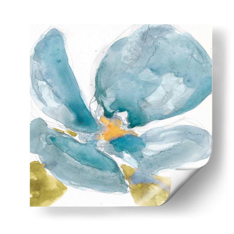 Flor Splash Ii - Jennifer Goldberger | Cuadro decorativo de Canvas Lab