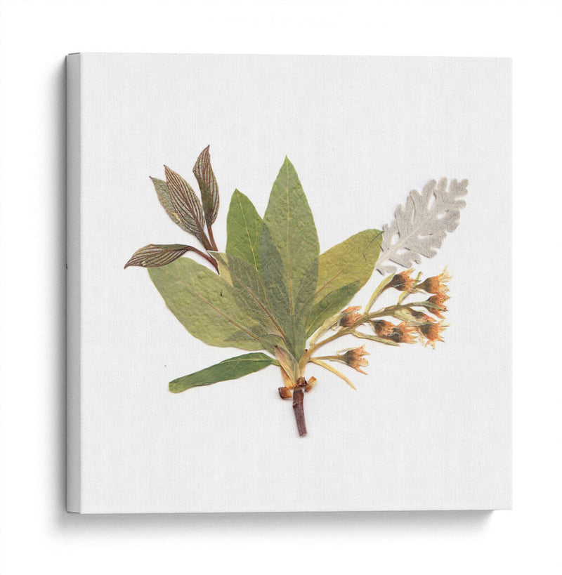 Hojas del pensamiento | Cuadro decorativo de Canvas Lab