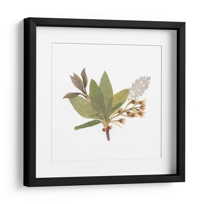 Hojas del pensamiento | Cuadro decorativo de Canvas Lab