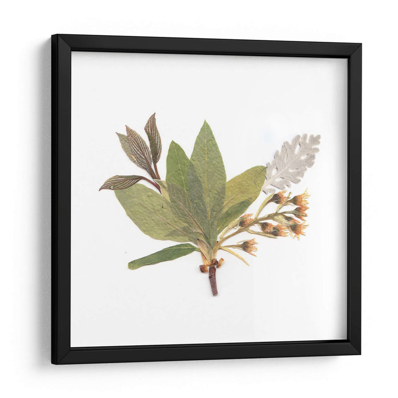 Hojas del pensamiento | Cuadro decorativo de Canvas Lab