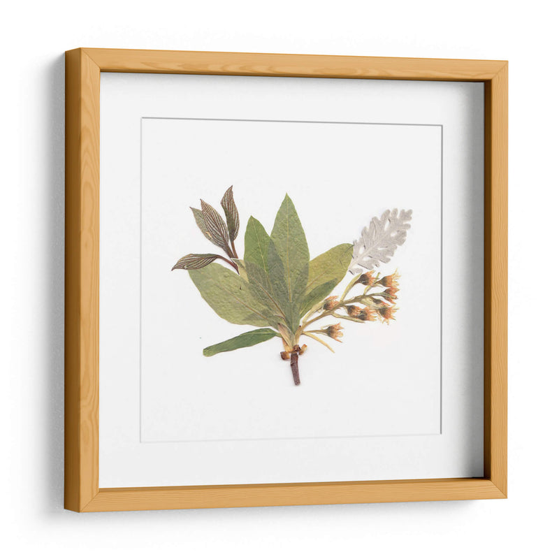 Hojas del pensamiento | Cuadro decorativo de Canvas Lab