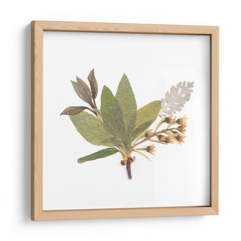 Hojas del pensamiento | Cuadro decorativo de Canvas Lab