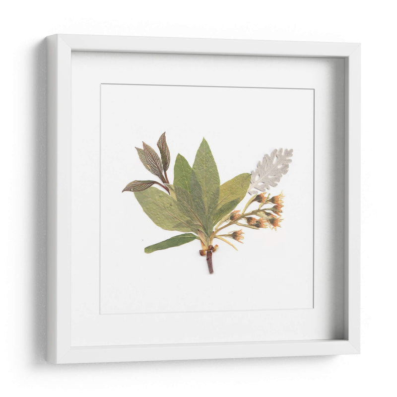 Hojas del pensamiento | Cuadro decorativo de Canvas Lab