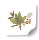 Hojas del pensamiento | Cuadro decorativo de Canvas Lab