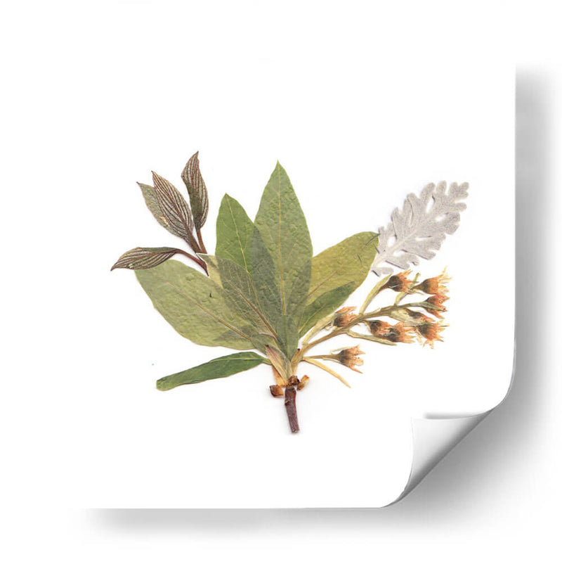 Hojas del pensamiento | Cuadro decorativo de Canvas Lab