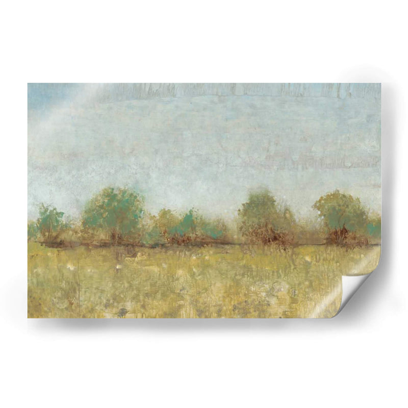 Campo De Primavera I - Tim OToole | Cuadro decorativo de Canvas Lab