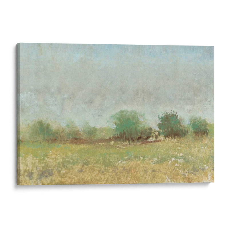 Campo De Primavera Ii - Tim OToole | Cuadro decorativo de Canvas Lab