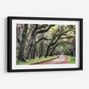 Camino De Tierra Ii - Danny Head | Cuadro decorativo de Canvas Lab