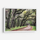 Camino De Tierra Ii - Danny Head | Cuadro decorativo de Canvas Lab