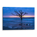 Todo Lo Que Queda - Danny Head | Cuadro decorativo de Canvas Lab