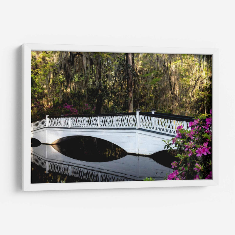 Reflexiones De Puente Blanco - Danny Head | Cuadro decorativo de Canvas Lab