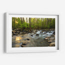 Sol De La Mañana I - Danny Head | Cuadro decorativo de Canvas Lab