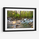 Morning Sunshine Ii - Danny Head | Cuadro decorativo de Canvas Lab