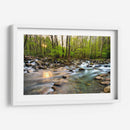 Morning Sunshine Ii - Danny Head | Cuadro decorativo de Canvas Lab