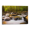 Luz De La Mañana Caliente - Danny Head | Cuadro decorativo de Canvas Lab