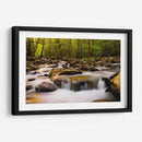 Luz De La Mañana Caliente - Danny Head | Cuadro decorativo de Canvas Lab