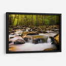 Luz De La Mañana Caliente - Danny Head | Cuadro decorativo de Canvas Lab