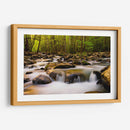 Luz De La Mañana Caliente - Danny Head | Cuadro decorativo de Canvas Lab