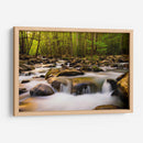 Luz De La Mañana Caliente - Danny Head | Cuadro decorativo de Canvas Lab