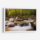 Luz De La Mañana Caliente - Danny Head | Cuadro decorativo de Canvas Lab