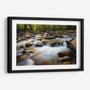 Primavera En Porters Creek - Danny Head | Cuadro decorativo de Canvas Lab