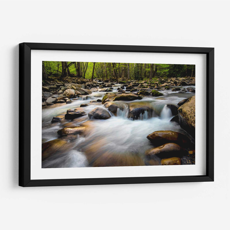 Primavera En Porters Creek - Danny Head | Cuadro decorativo de Canvas Lab