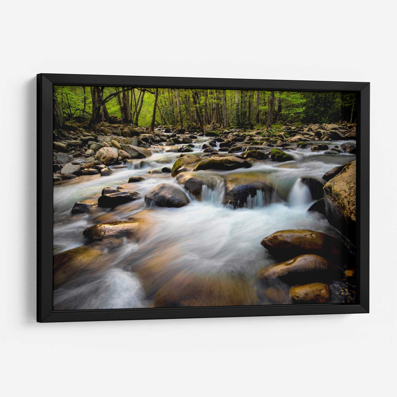 Primavera En Porters Creek - Danny Head | Cuadro decorativo de Canvas Lab