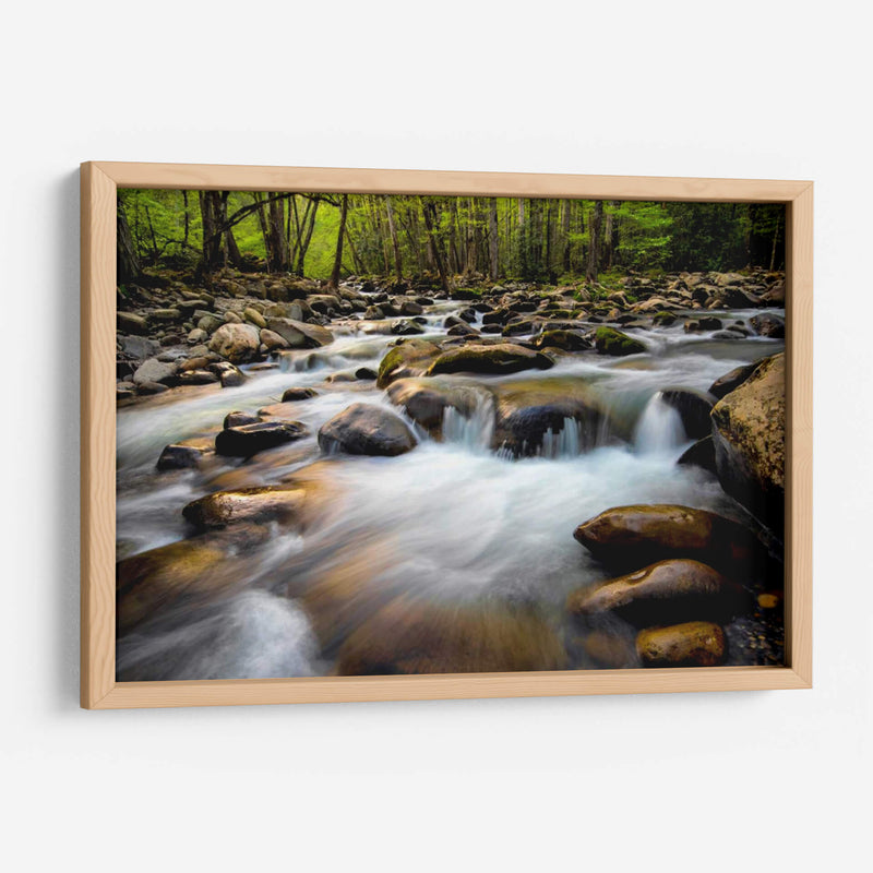 Primavera En Porters Creek - Danny Head | Cuadro decorativo de Canvas Lab