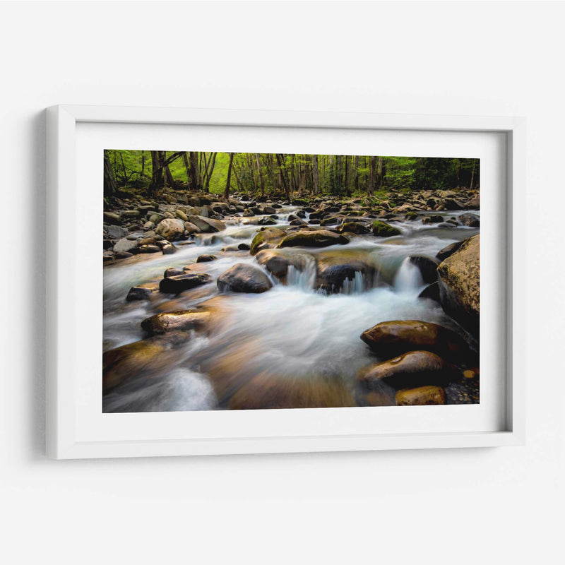 Primavera En Porters Creek - Danny Head | Cuadro decorativo de Canvas Lab