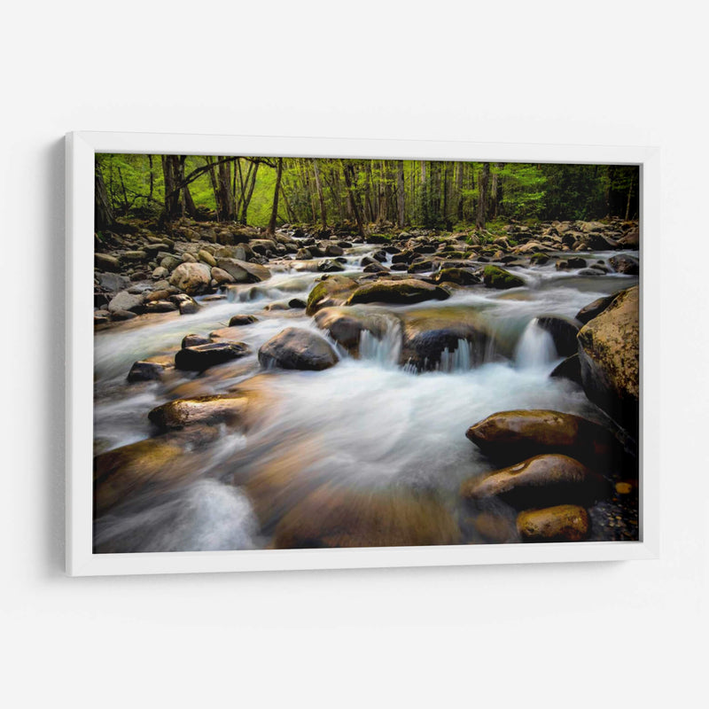 Primavera En Porters Creek - Danny Head | Cuadro decorativo de Canvas Lab