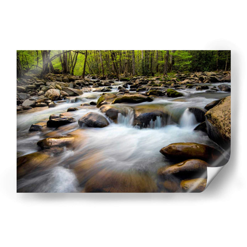 Primavera En Porters Creek - Danny Head | Cuadro decorativo de Canvas Lab