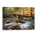 Puente Y Cascada Ii - Danny Head | Cuadro decorativo de Canvas Lab