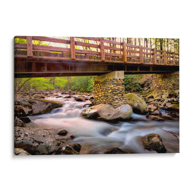 Puente Y Cascada Iii - Danny Head | Cuadro decorativo de Canvas Lab