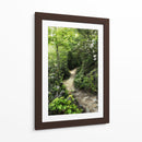 Sendero De Montaña - Danny Head | Cuadro decorativo de Canvas Lab