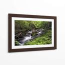 Banco De Helechos - Danny Head | Cuadro decorativo de Canvas Lab