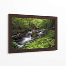 Banco De Helechos - Danny Head | Cuadro decorativo de Canvas Lab