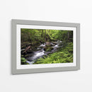 Banco De Helechos - Danny Head | Cuadro decorativo de Canvas Lab