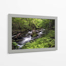 Banco De Helechos - Danny Head | Cuadro decorativo de Canvas Lab